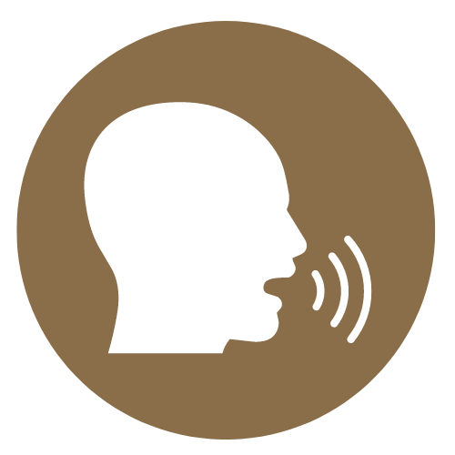 icon of person speaking