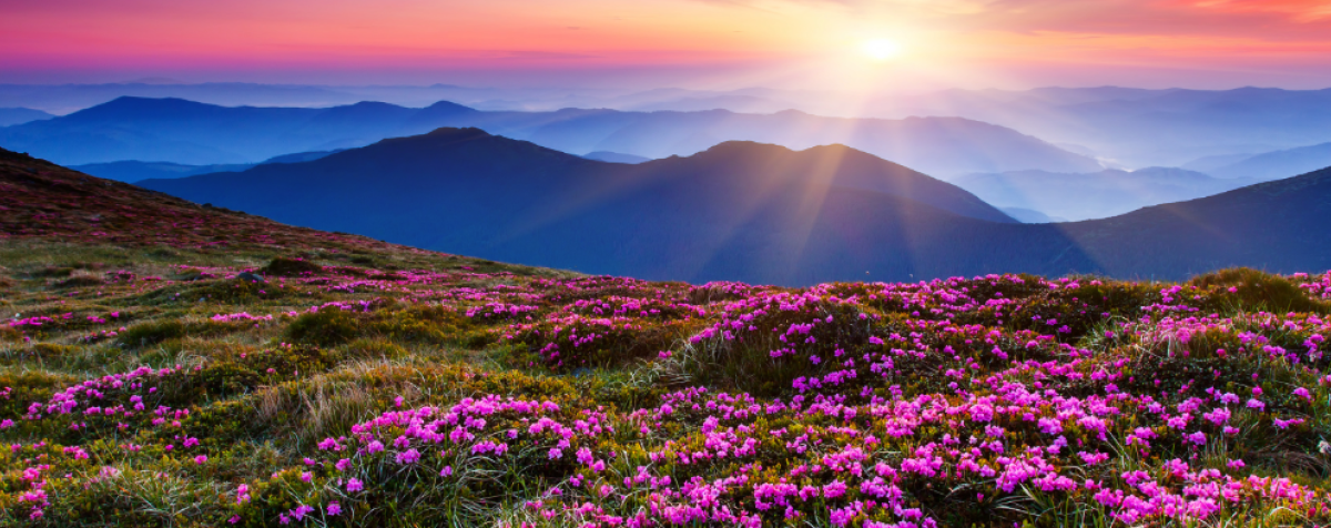sunrise