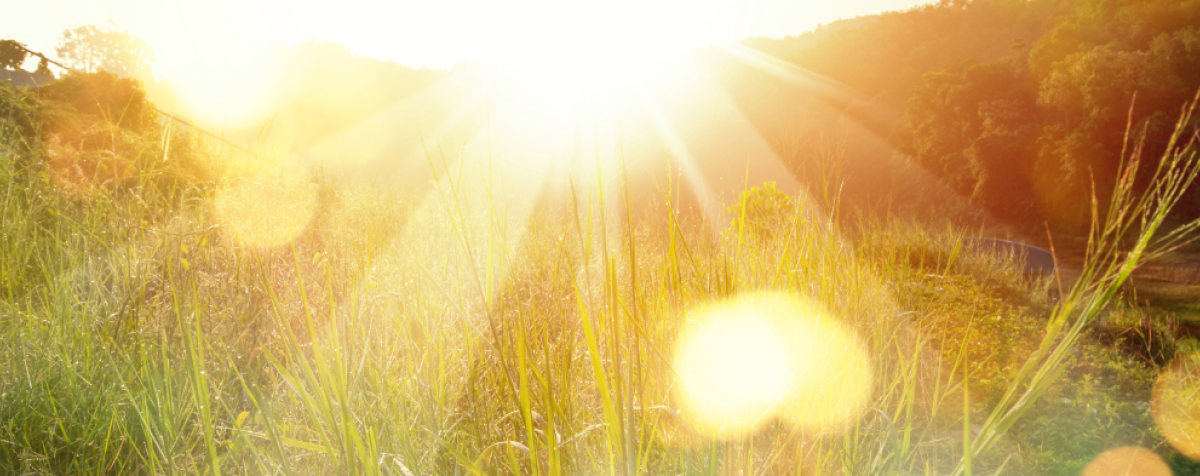 sunrise image